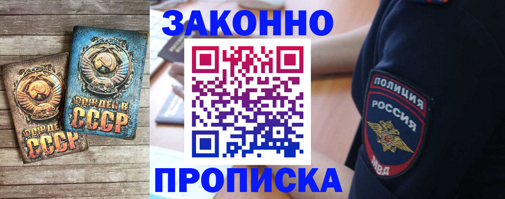 прописка законно в Оленегорске